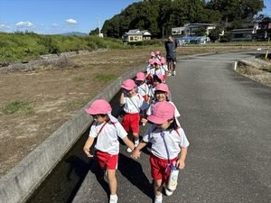 いきものみ～つけた🦐🦞（星組⭐）